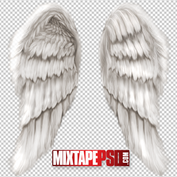 Feathered Angel Wings PNG