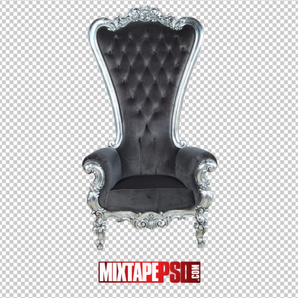 Grey Silver Throne Chair