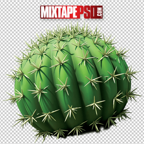 Cactus Cut PNG, Officialpsds, Officialpsd, png images free, png images transparent background, png images hd, png images for photoshop, png images website, png images for free download, png images download, png images background, png images examples, png images for editing, png images for download, PNG Images