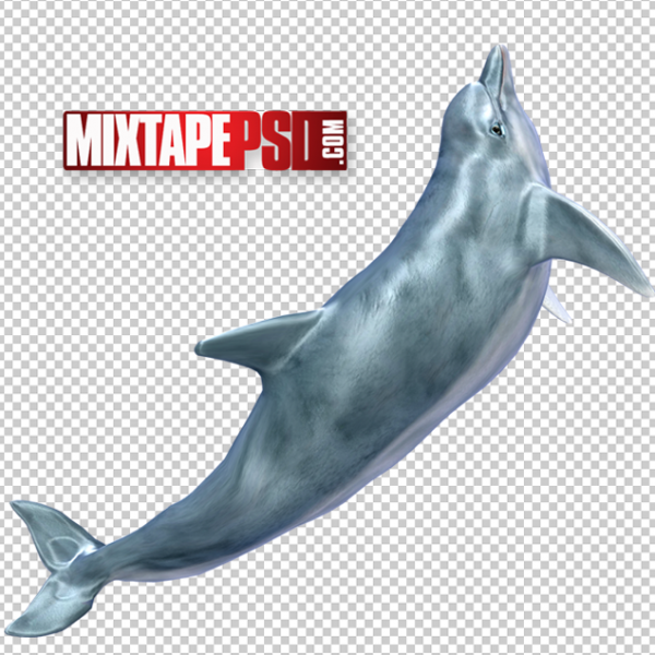 Dolphin Cut PNG, Officialpsds, Officialpsd, png images free, png images transparent background, png images hd, png images for photoshop, png images website, png images for free download, png images download, png images background, png images examples, png images for editing, png images for download, PNG Images