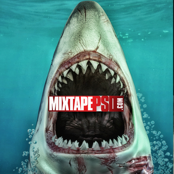 Open Mouth Great White Shark Background, Aesthetic Backgrounds, Backgrounds, Colorful Backgrounds, Computer Backgrounds, Cool Backgrounds, Desktop Backgrounds, Flyer Backgrounds, Google Backgrounds, HD Backgrounds, Mixtape Backgrounds