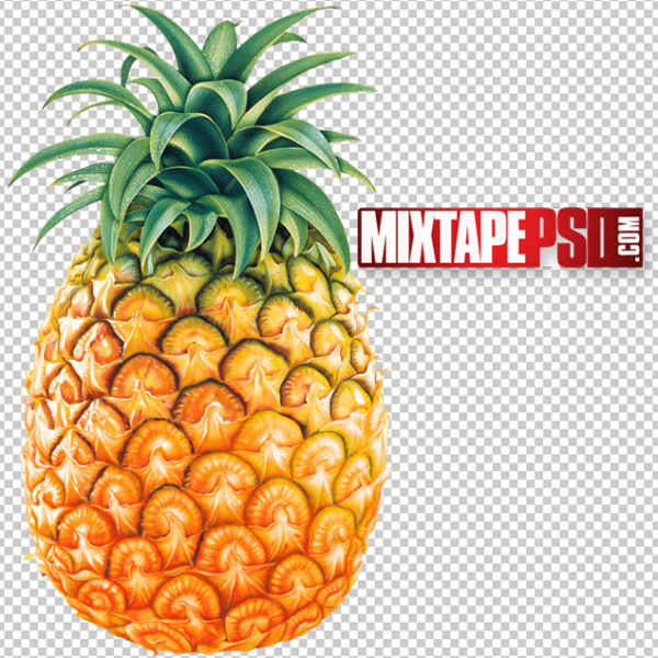 Tropical Pineapple PNG