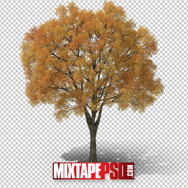 HD Autumn Tree 2