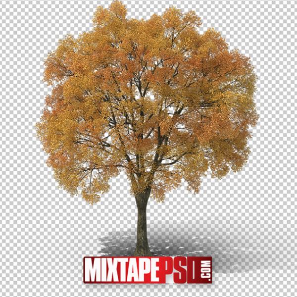 HD Autumn Tree 3