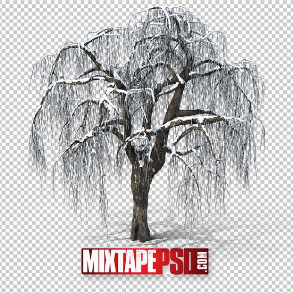 HD Winter Tree 2