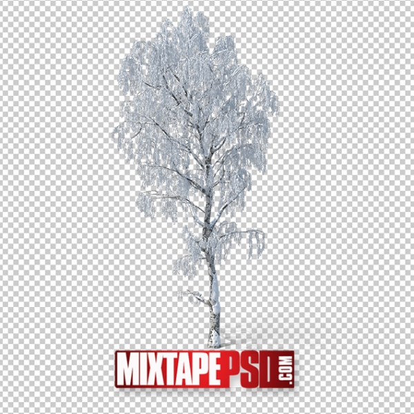 HD Winter Tree 3