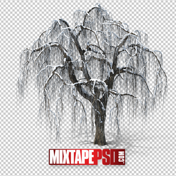 HD Winter Tree