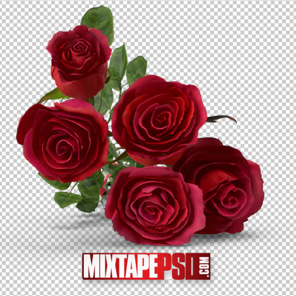 HD Bouquet of Red Roses 3