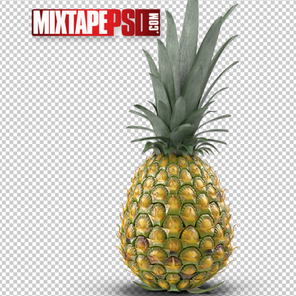 HD Whole Pineapple, PNG Images, Free PNG Images, Png Images Free, PNG Images with Transparent Background, png transparent images, png images gallery, background png images, png background images, images png, free png images download, royalty free ping images