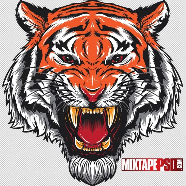 Angry Roaring Vector Tiger 2, png, pngs, png’s, png images, image png, images png, png backgrounds, transparent png, free png, png tree, png transparent background, free png image, transparent images