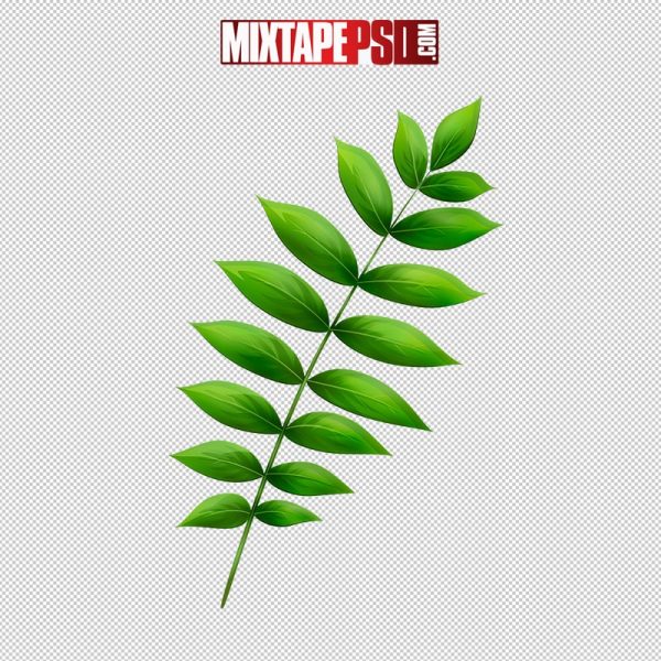 HD Cartoon Leaf 1, pngs, png’s, png images, image png, images png, png backgrounds, transparent png, free png, png tree, png transparent background, free png image, transparent images