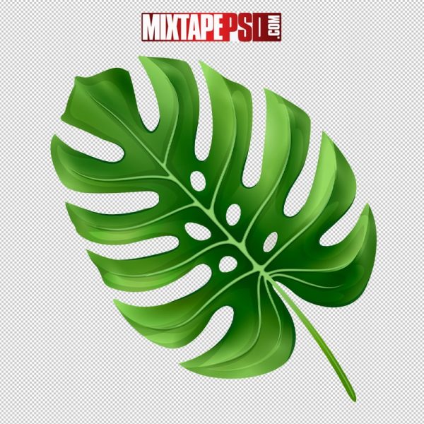 HD Cartoon Leaf 3, pngs, png’s, png images, image png, images png, png backgrounds, transparent png, free png, png tree, png transparent background, free png image, transparent images
