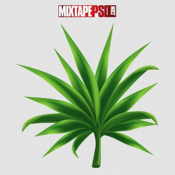 hd cartoon tropical element 7, pngs, png’s, png images, image png, images png, png backgrounds, transparent png, free png, png tree, png transparent background, free png image, transparent images